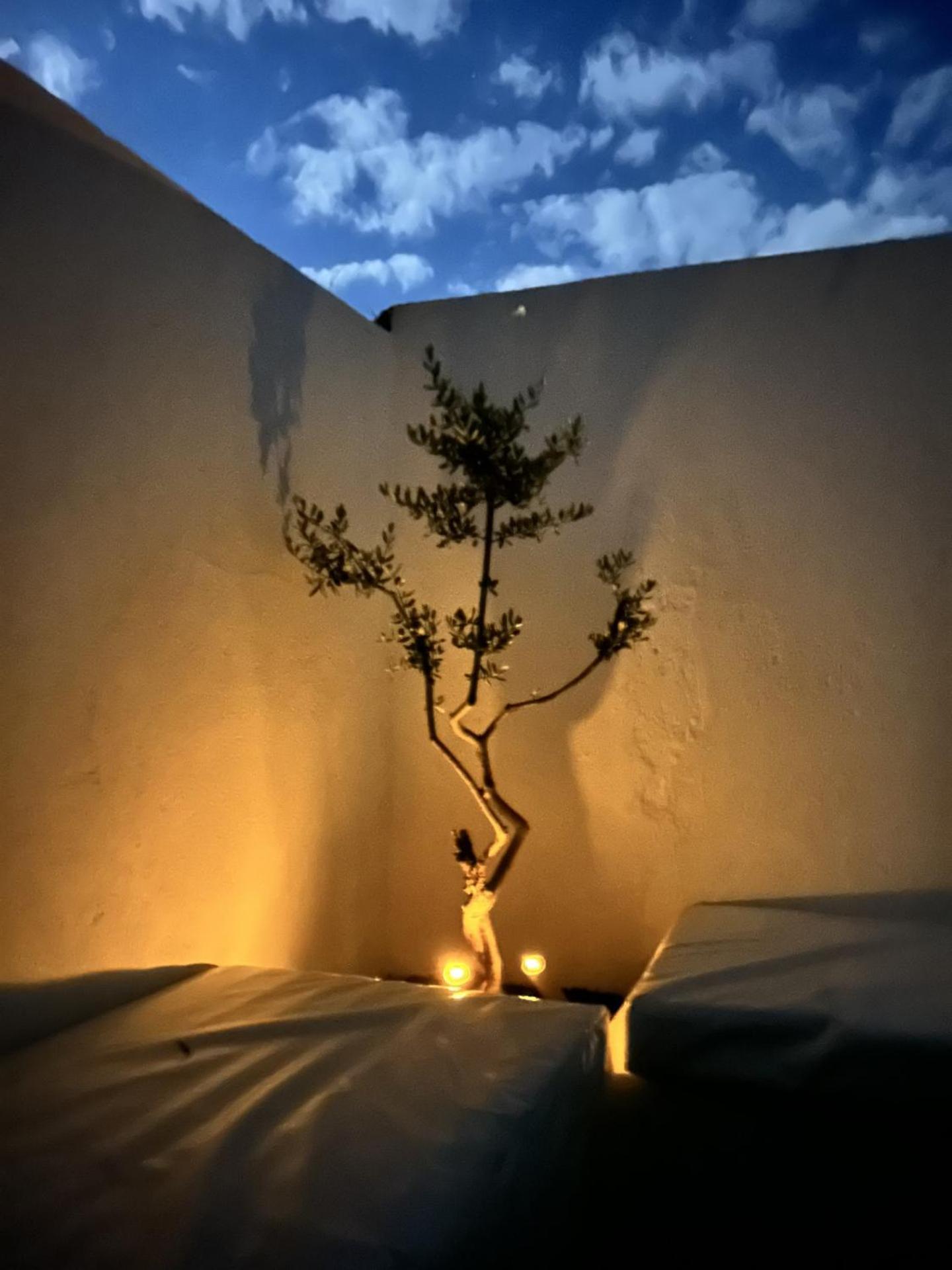 Mouradia Holiday home Safara